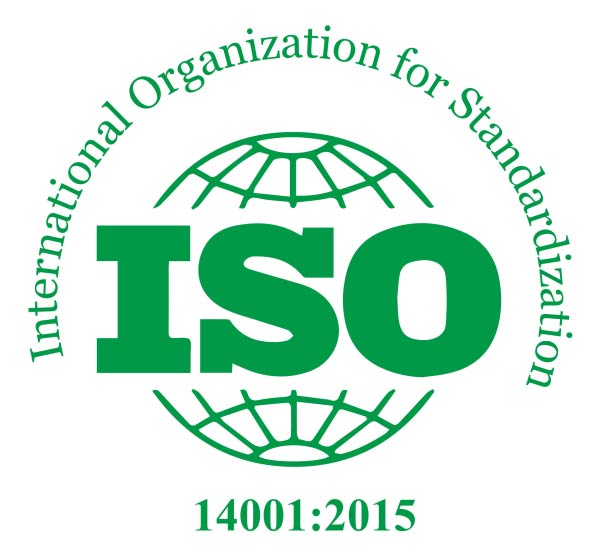 Logo 3