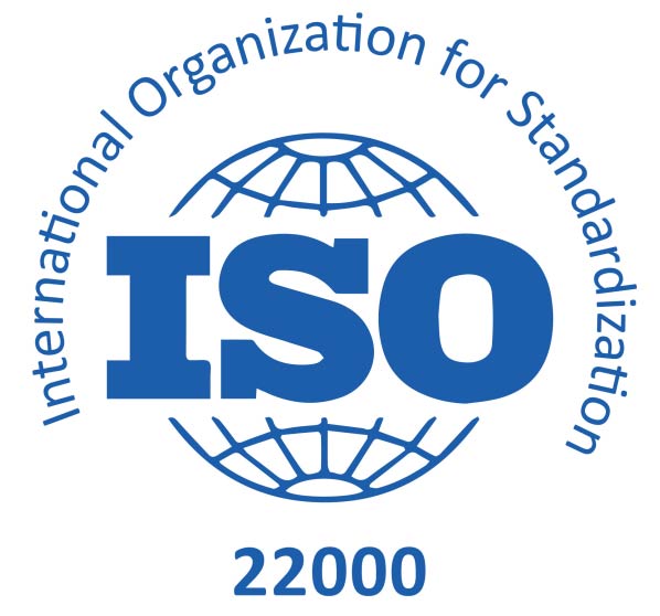 Logo 4