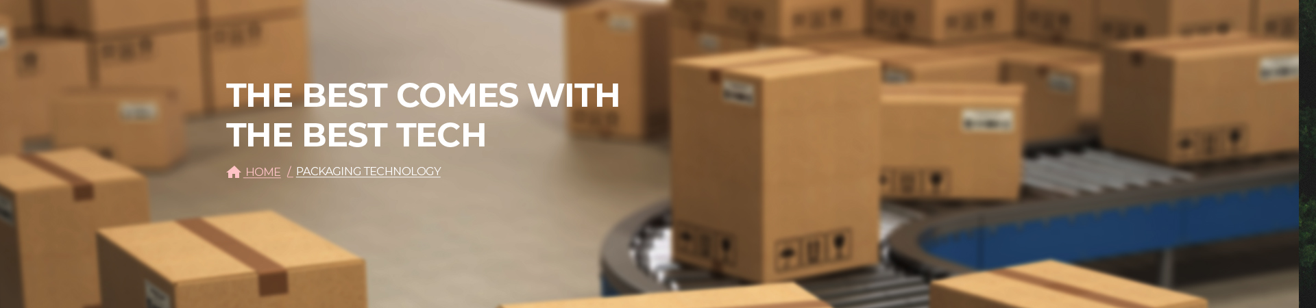 Packaging Technology