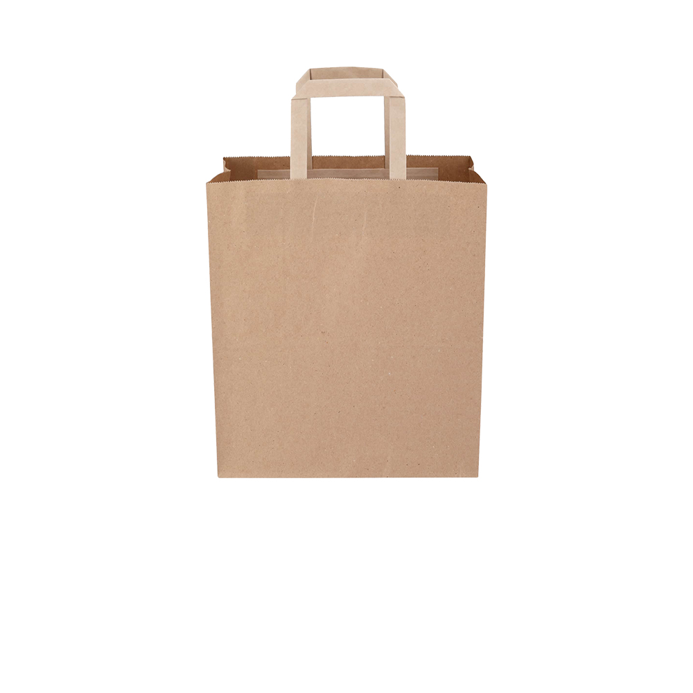 Carry Bag with Handle